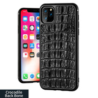 back bone black